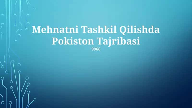Mehnatni Tashkil Qilishda Pokiston Tajribasi 1