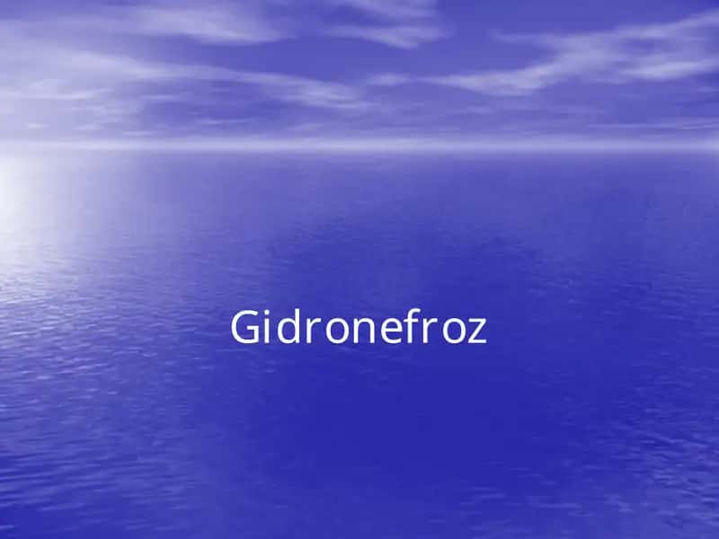 Gidronefroz 1