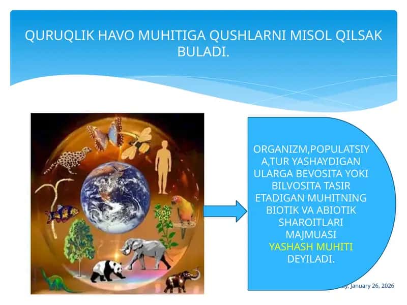 4 xil yashash muhitini tushunish 1
