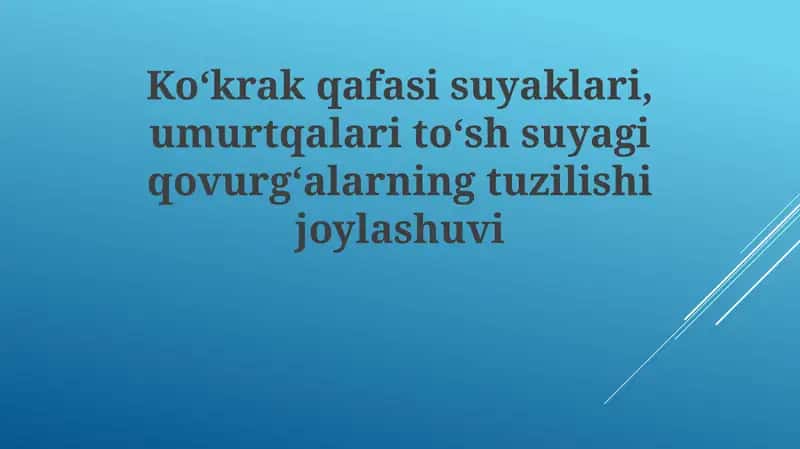 Ko'krak suyaklari va umurtqalari 1