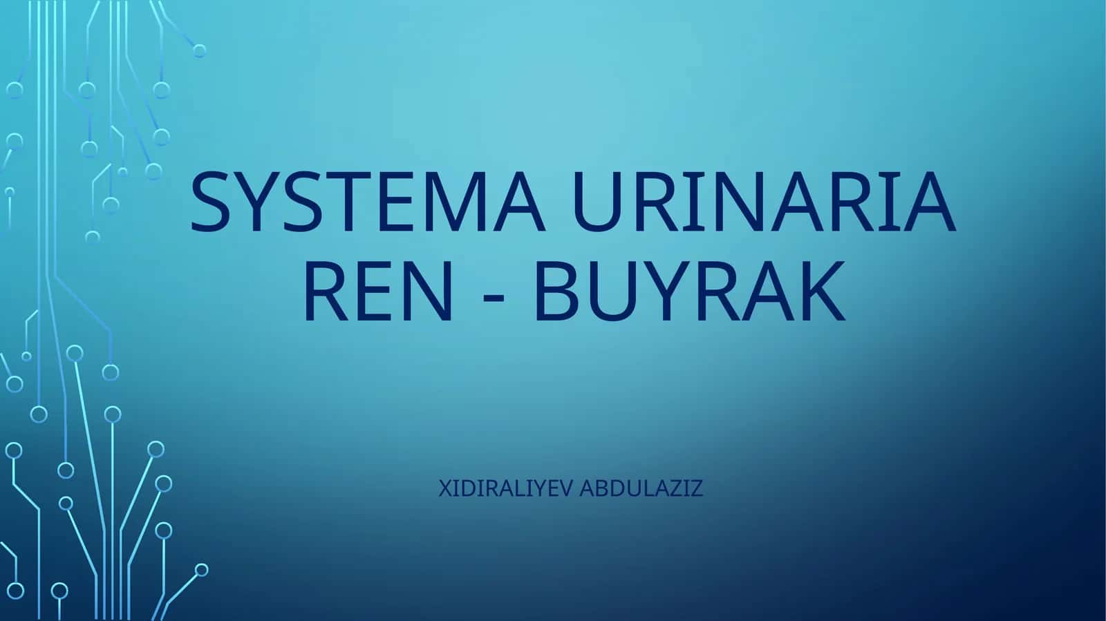 systema urinariya 1