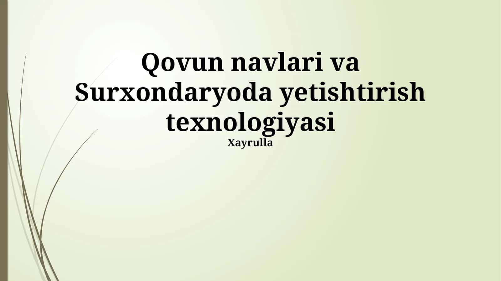 Qovun navlari va Surxondaryoda yetishtirish texnologiyasi 1
