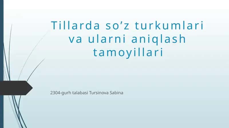 So’z turkumlari va ularni aniqlash tamoyillari 1