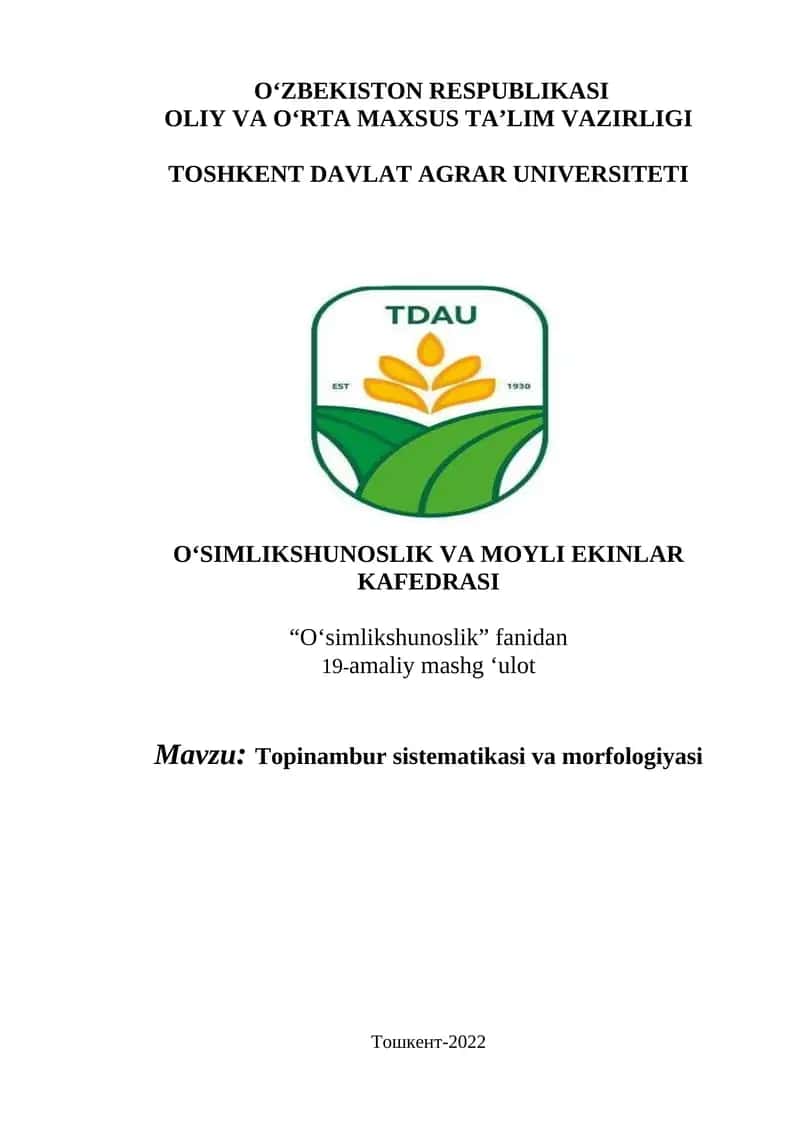 Topinambur sistematikasi va morfologiyasi 1
