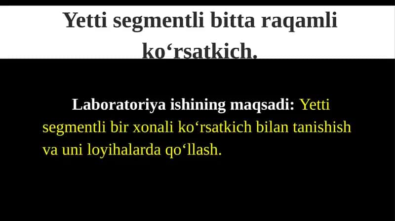Yettisegmentli bittaraqamlik ko‘rsatkich 1