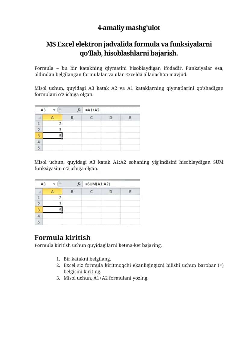 MS Excel elektron jadvalida formula va funksiyalarni qo’llab, hisoblashlarni bajarish 1