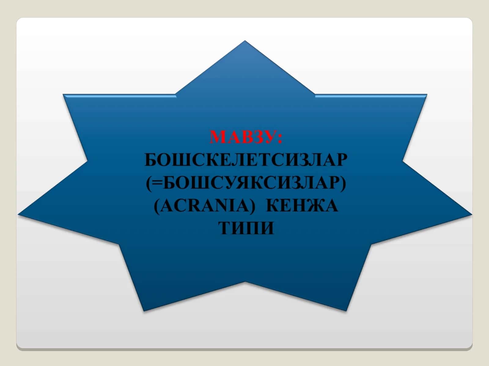 Бошскелетсизлар кенжа типининг умумий тавсифи 1