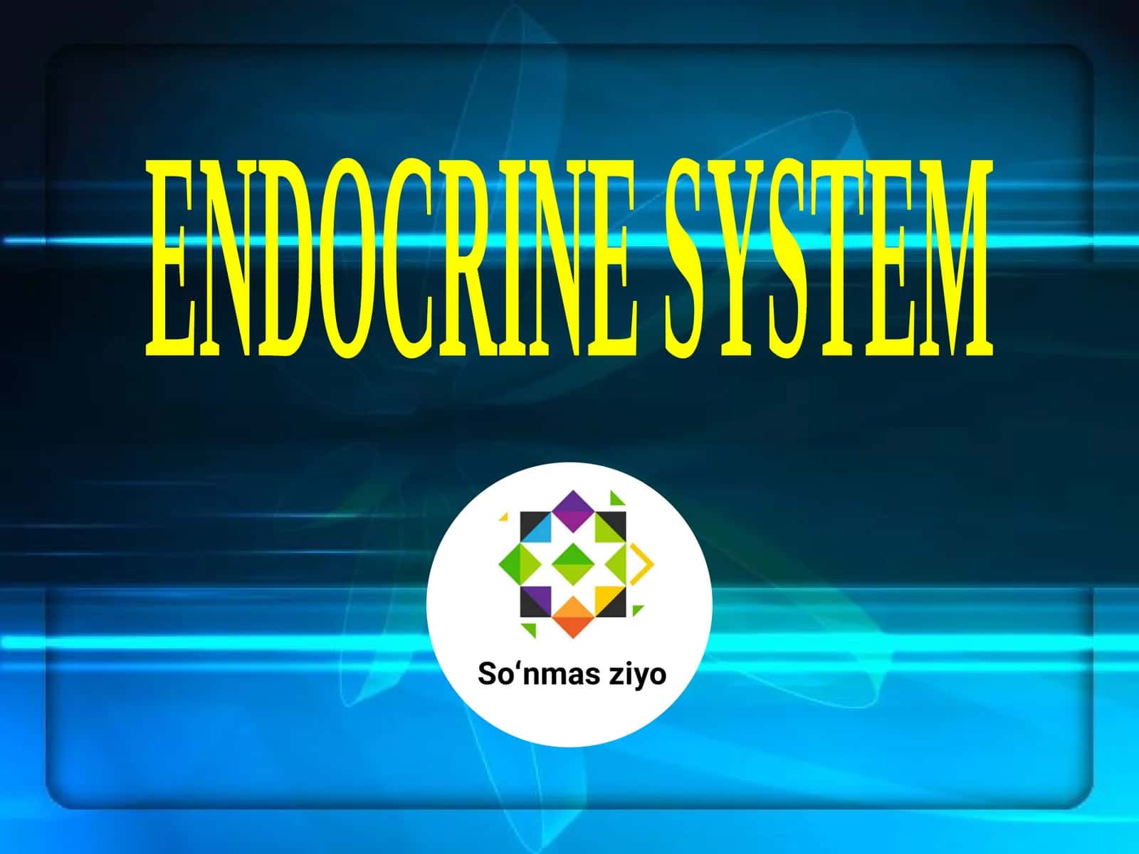 ENDOKRIN TIZIM 1