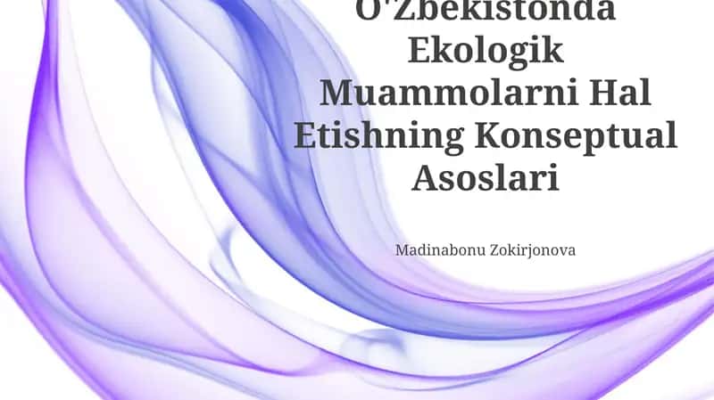 O'Zbekistonda Ekologik Muammolarni Hal Etishning Konseptual Asoslari 1