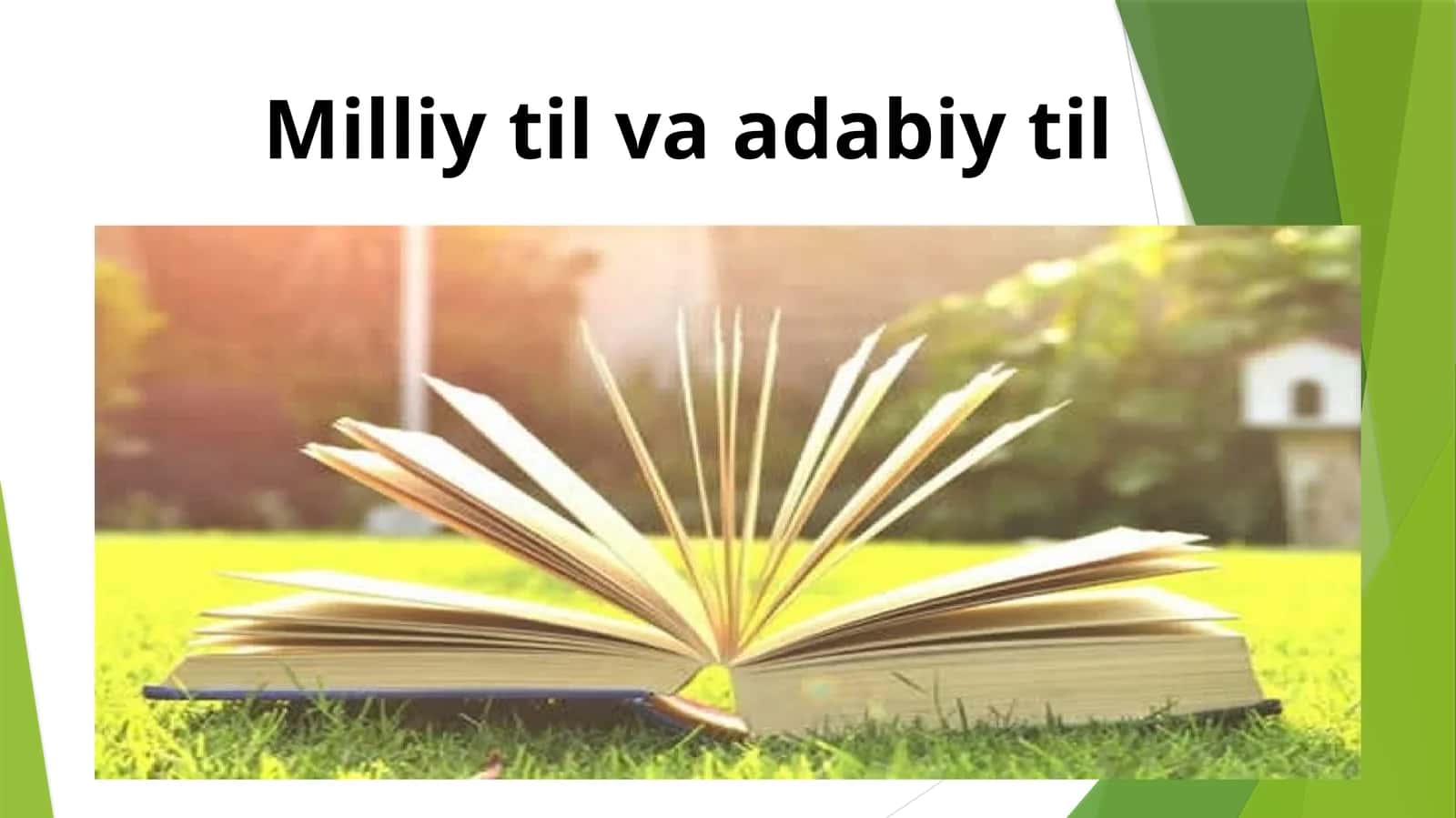 Milliy til va adabiy til 1