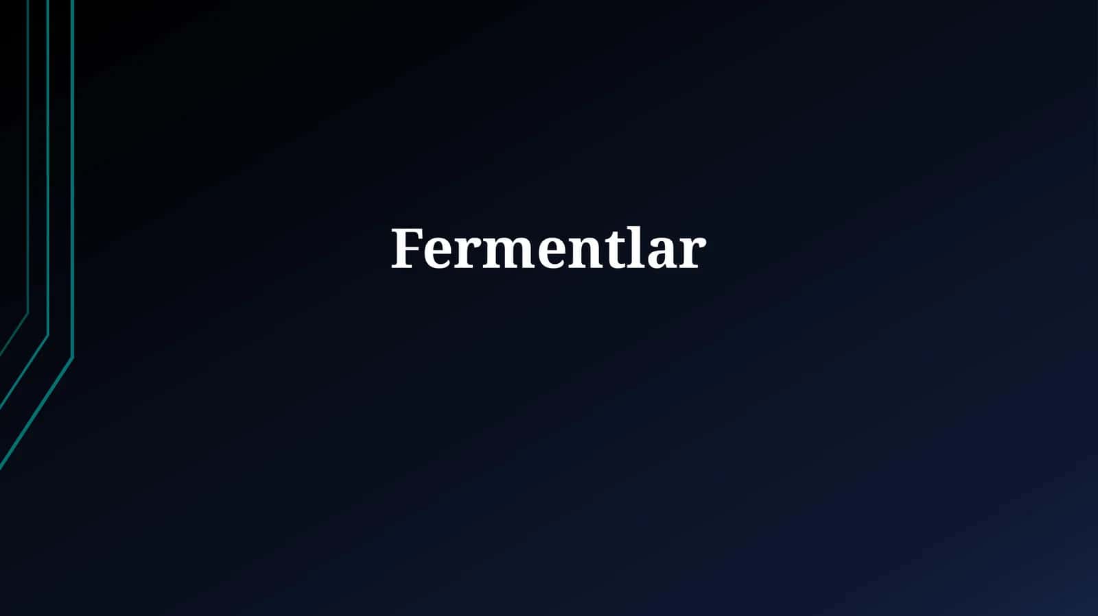 Fermentlar 1