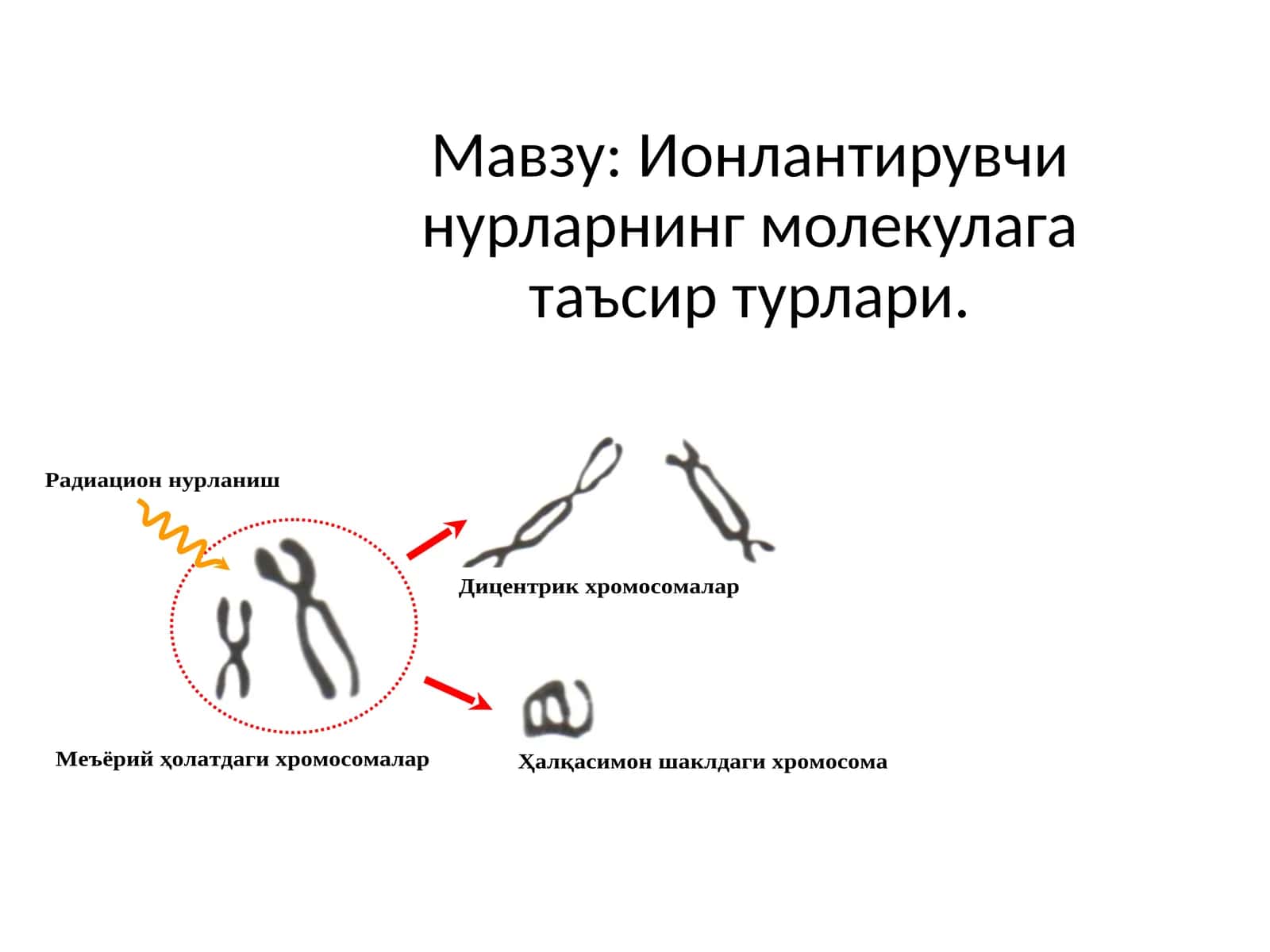 Ионлантирувчи нурларнинг молекулага таъсир турлари 1
