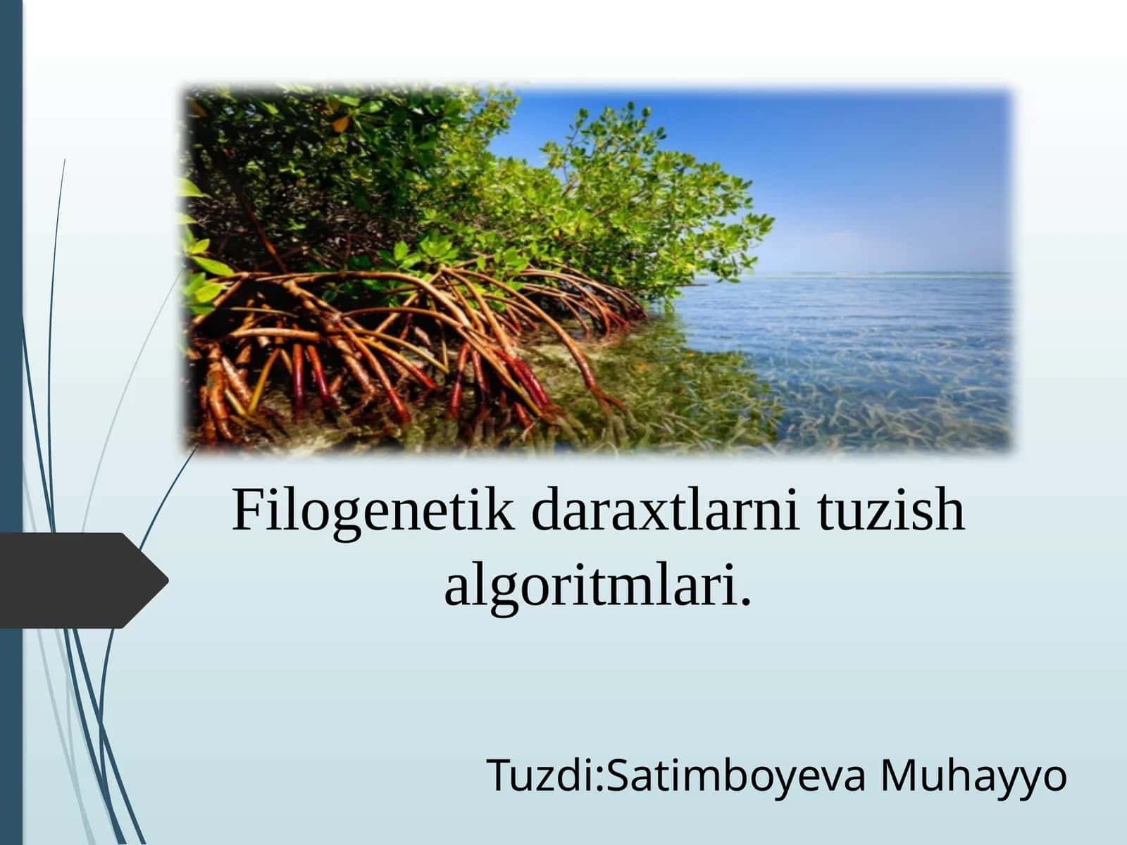 Filogenetik daraxtlarni tuzish algoritmlari 1