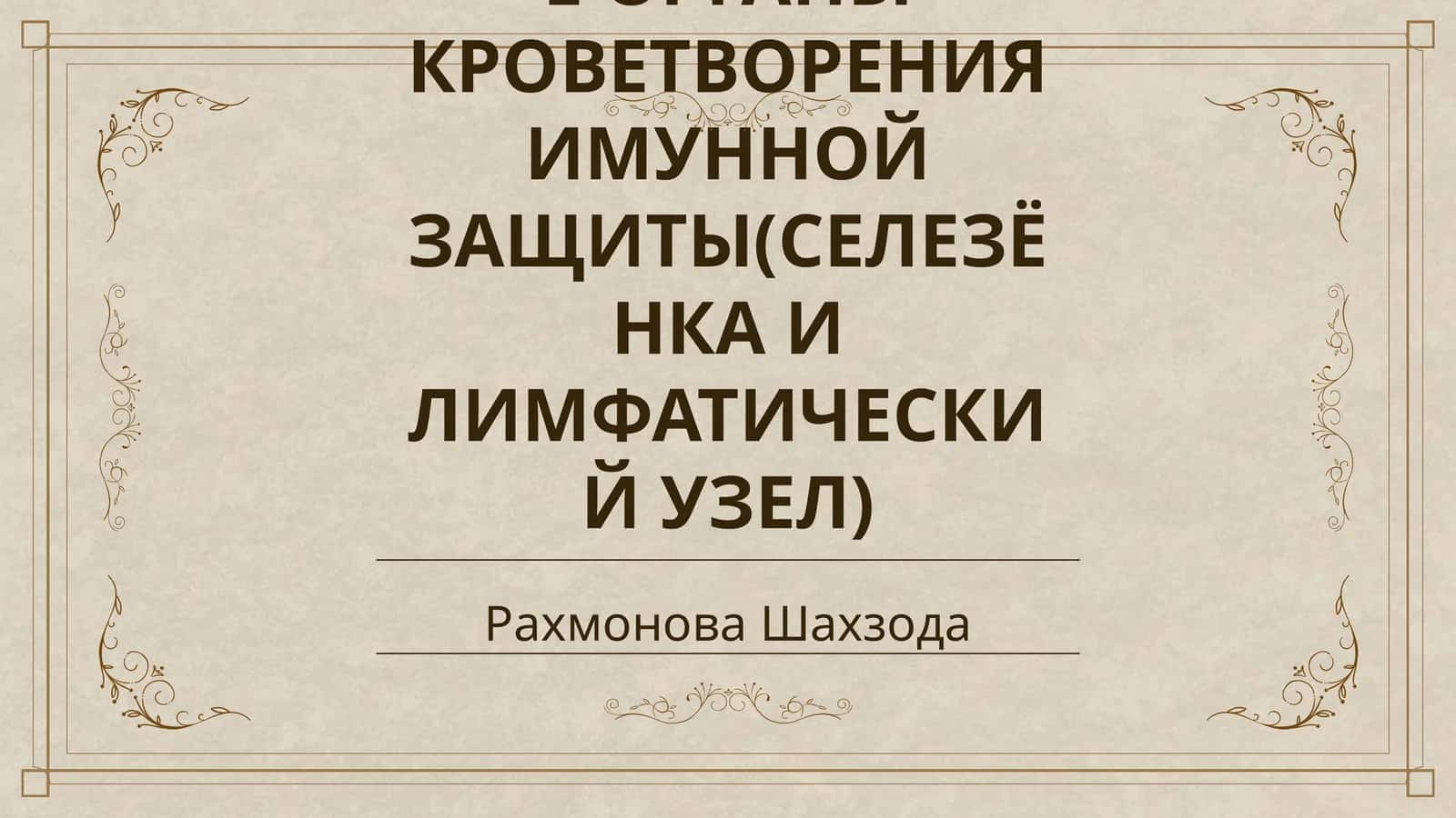 ПЕРИФЕРИЧЕСКИЕ ОРГАНЫ КРОВЕТВОРЕНИЯ ИМУННОЙ ЗАЩИТЫ(СЕЛЕЗЁНКА И ЛИМФАТИЧЕСКИЙ УЗЕЛ) 1