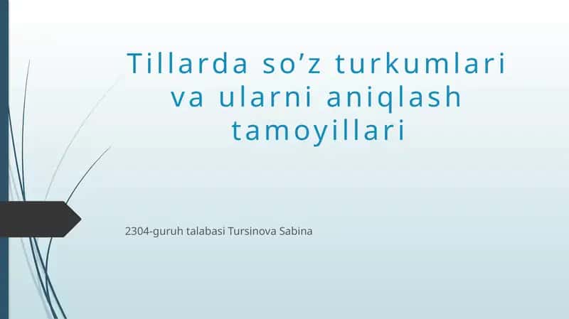 So’z turkumlari va ularni aniqlash tamoyillari 1