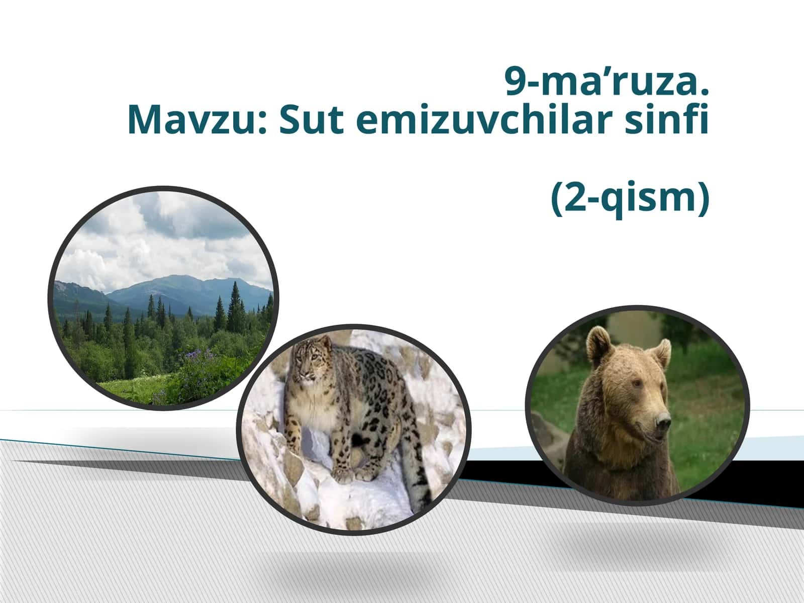 Sutemizuvchilarsinfi (2-qism) 1