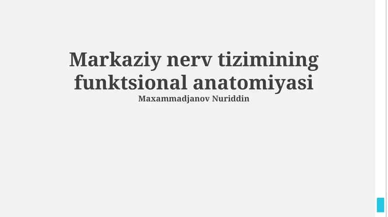 Markaziy nerv tizimining funktsional anatomiyasi 1