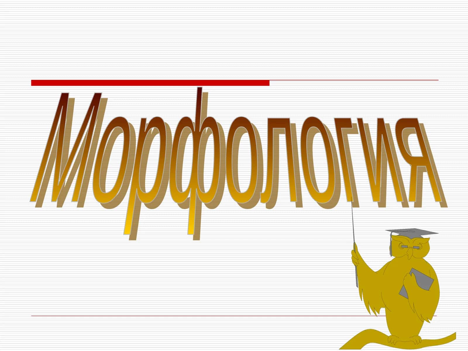 Морфология 1