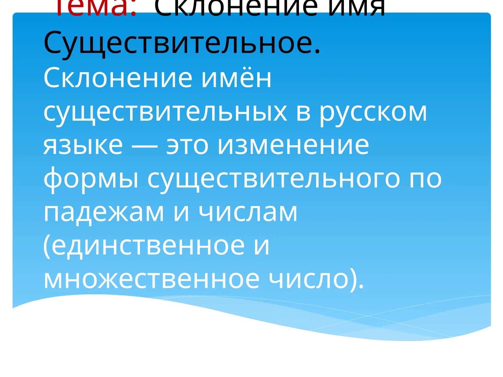 Склонение имён существительных в русском языке 1