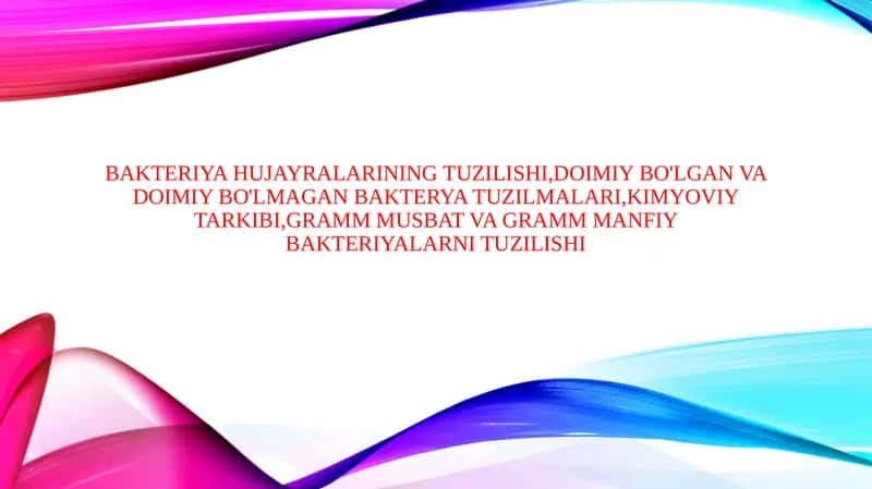 Bakteriya hujayralarining tuzilishi,doimiy bo'lgan va doimiy bo'lmagan bakterya tuzilmalari,kimyoviy tarkibi,Gramm musbat Va Gramm manfiy bakteriyalarni tuzilishi 1