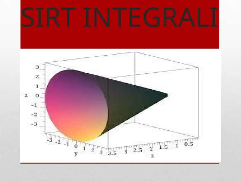 SIRT INTEGRALI 1