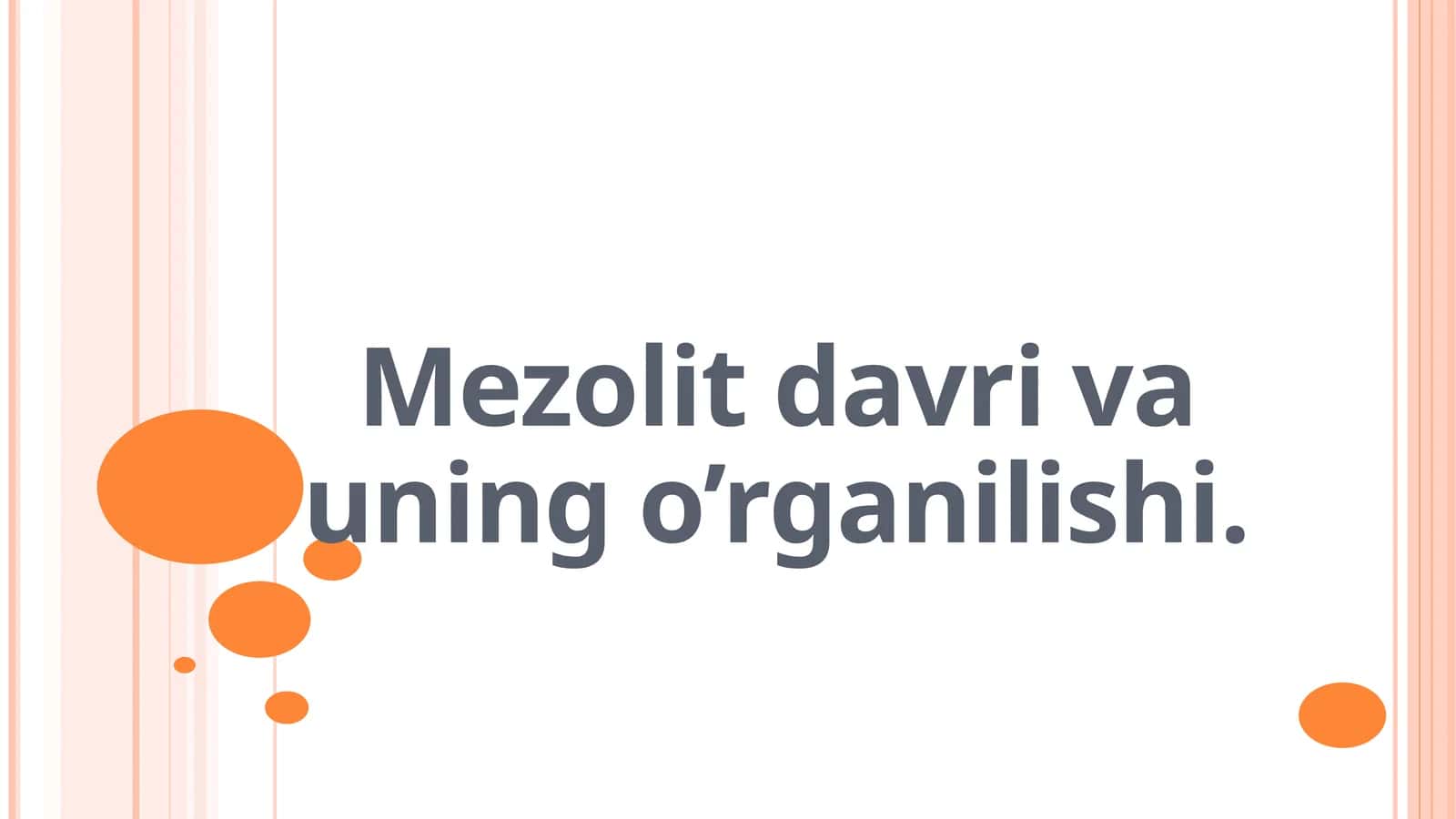 Mezolit davri 1
