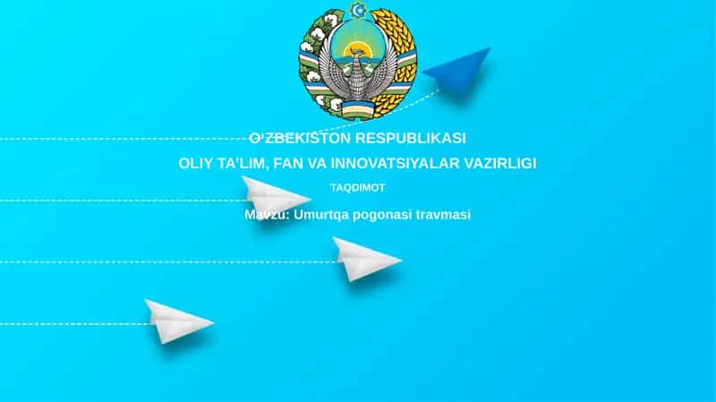 Umurtqa pog'onasi travmasi 1