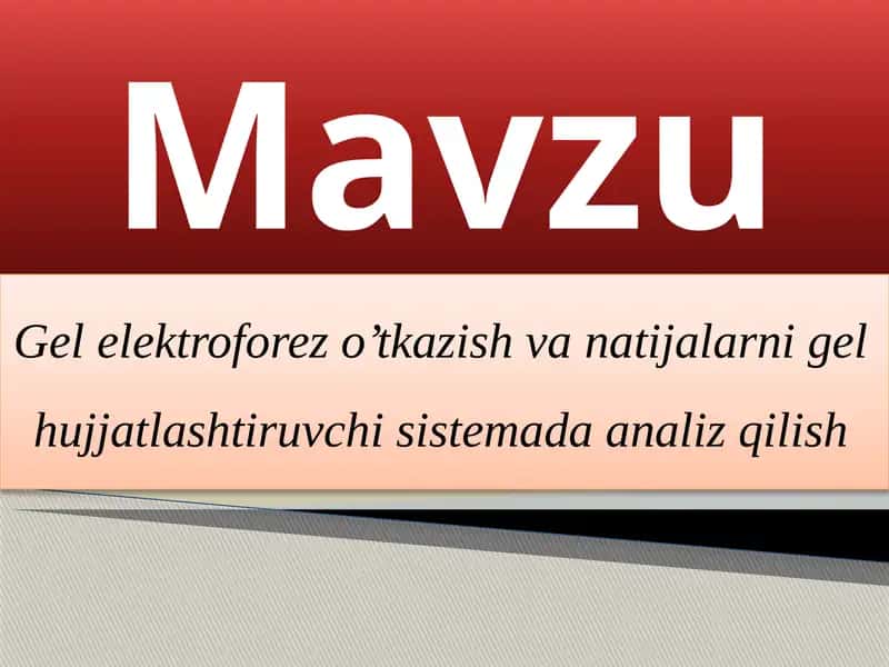 Gelelektroforezo'tkazish vanatijalarni gel hujjatlashtiruvchi sistemada analiz qilish 1