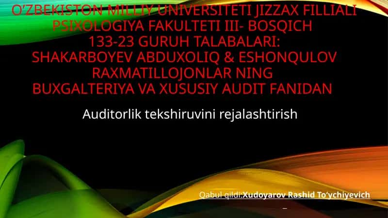 Auditorlik tekshiruvi 1