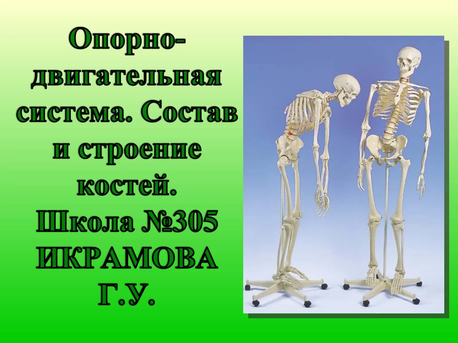 Двигательная 1