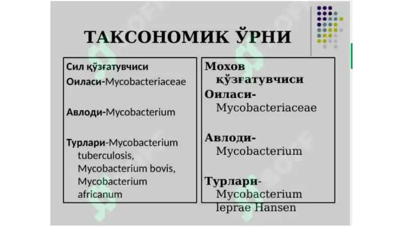 Moxov kasalligi 1