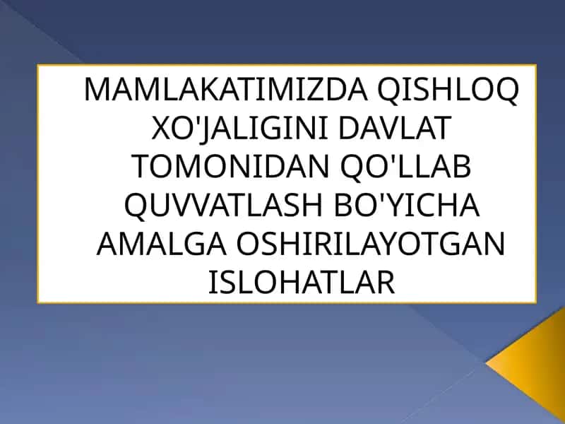 Qishloq xo'jaligini davlat tomonidan qo'llab quvvatlash bo'yicha islohlar 1