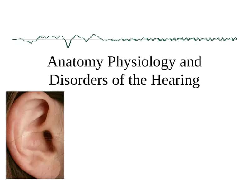 Anatomy Physiology and Disorders of the Hearing 1