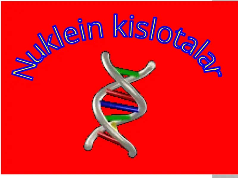 Nuklein kislotalar 1
