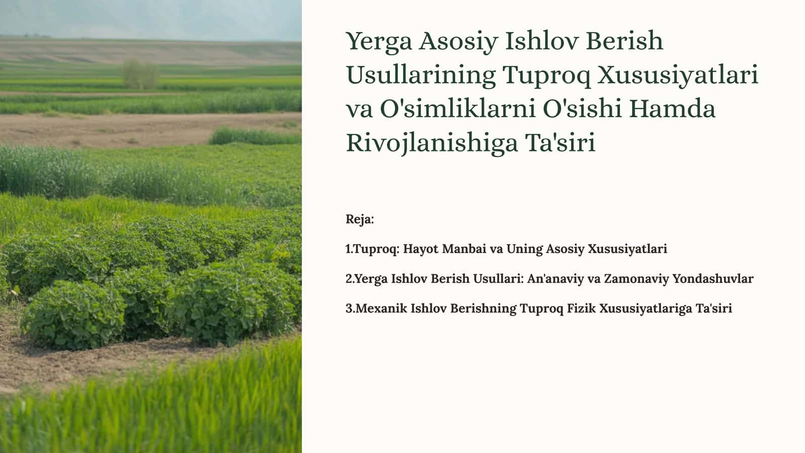 Yerga Asosiy Ishlov Berish Usullarining Tuproq Xususiyatlari va O'simliklarni O'sishi Hamda Rivojlanishiga Ta'siri 1