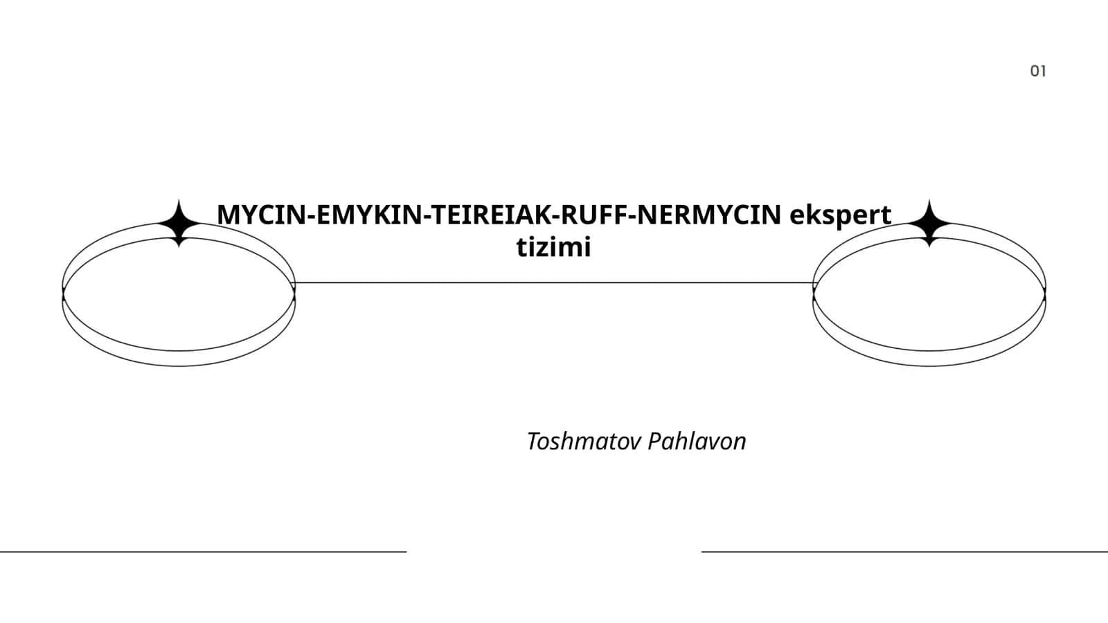 MYCIN-EMYKIN-TEIREIAK-RUFF-NERMYCIN ekspert tizimi 1
