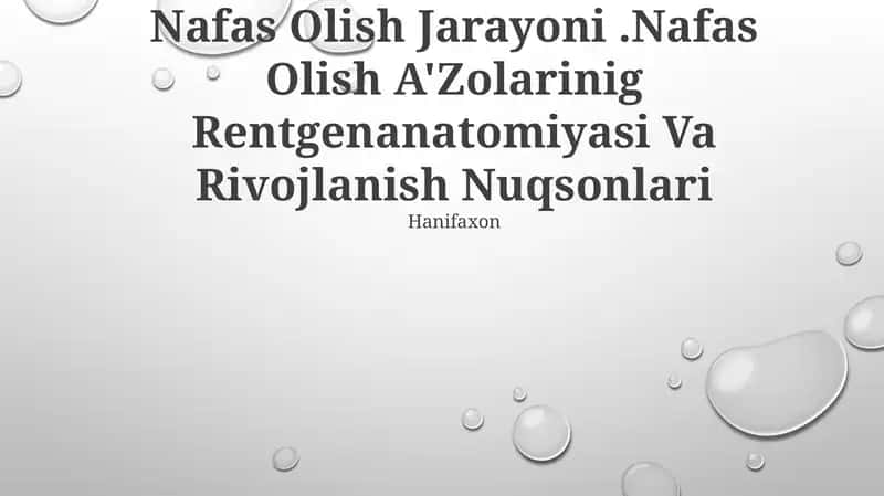Nafas Olish Jarayoni.Nafas Olish A'Zolarinig Rentgenanatomiyasi Va Rivojlanish Nuqsonlari 1