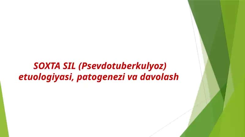 SOXTA SIL (Psevdotuberkulyoz) etiologiyasi, patogenezi va davolash 1
