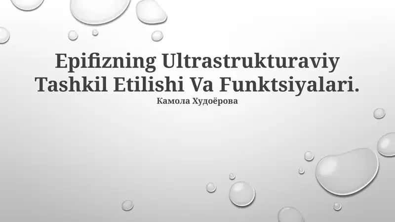 Epifizning Ultrastrukturaviy Tashkil Etilishi Va Funktsiyalari 1