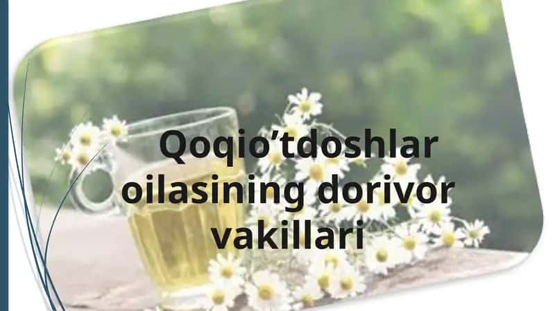 Qoqio’tdoshlar oilasining dorivor vakillari 1