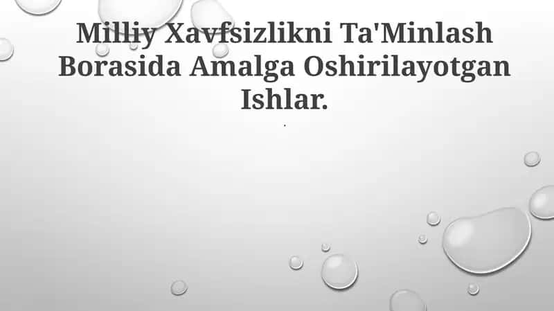 Milliy Xavfsizlikni Ta'Minlash Borasida Amalga Oshirilayotgan Ishlar 1