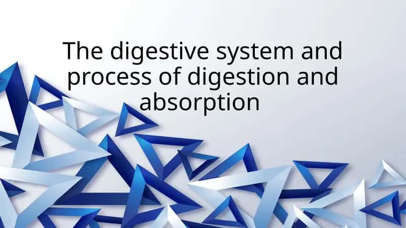 The digestive system and process of digestion and absorption 1