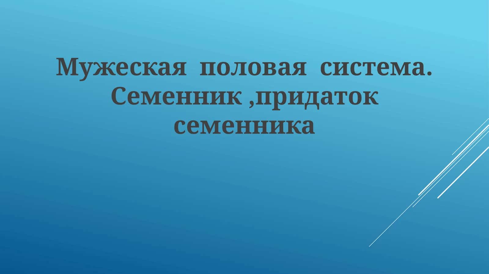Мужеская половая система. Семенник, придаток семенника 1