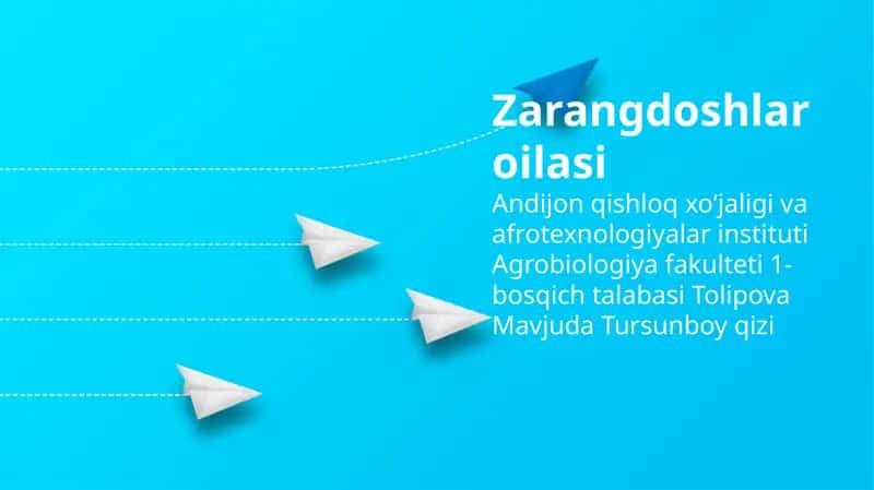 Jarohat qurbonlari oilasi 1