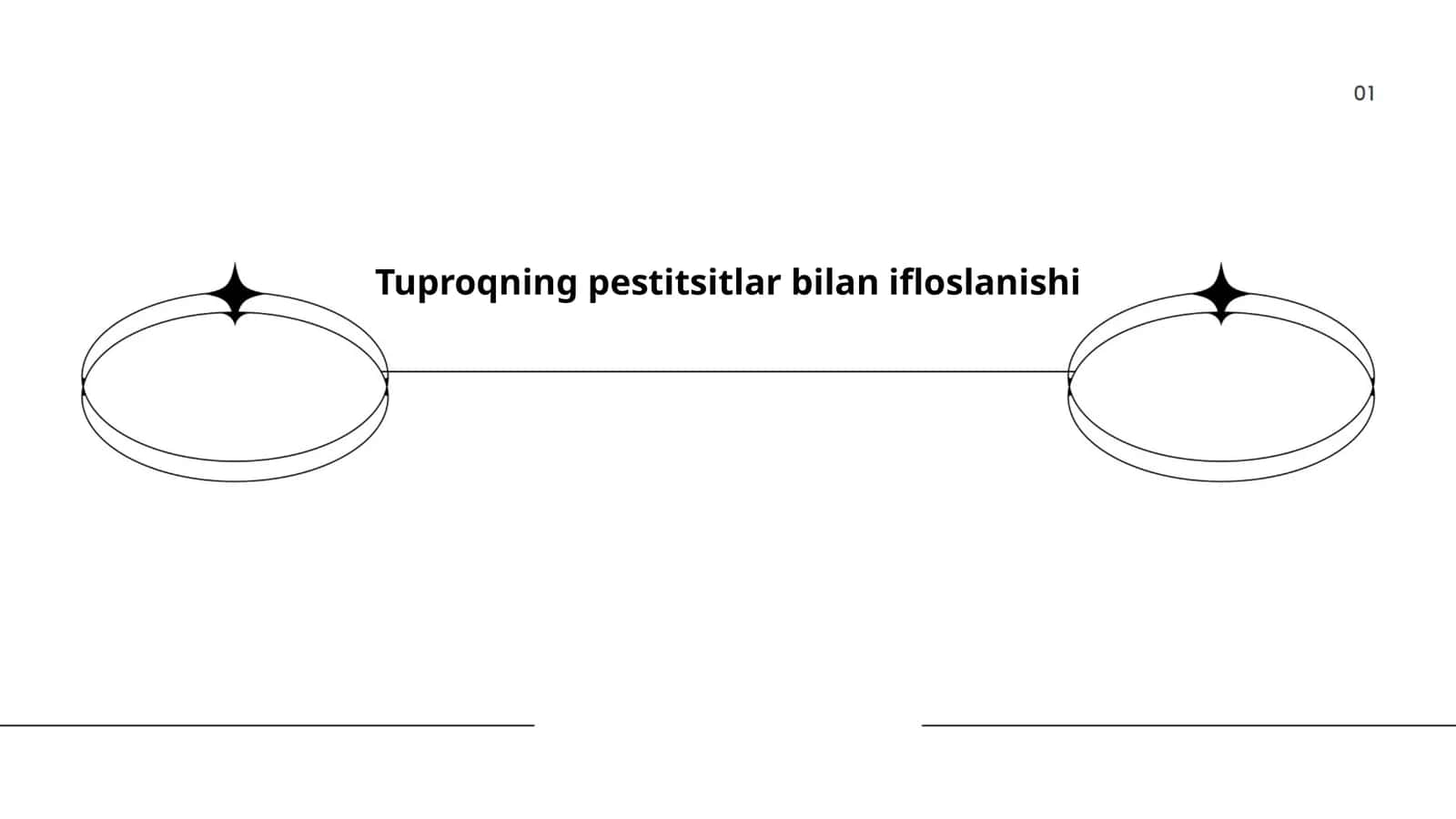 Tuproqning pestitsitlar bilan ifloslanishi 1