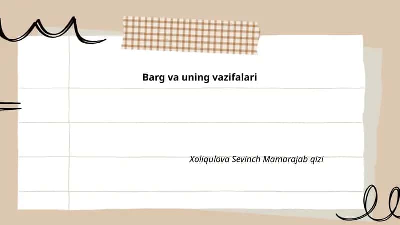 Barg va uning vazifalari 1
