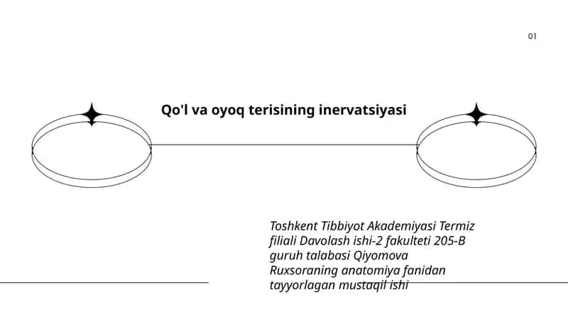 Qo'l va oyoq terisining inervatsiyasi 1