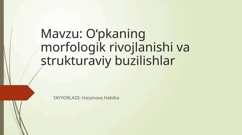 O‘pkaning morfologik rivojlanishi va strukturaviy buzilishlar 1
