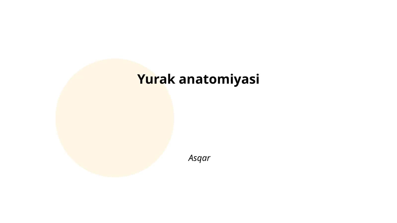 Yurak anatomiyasi 1