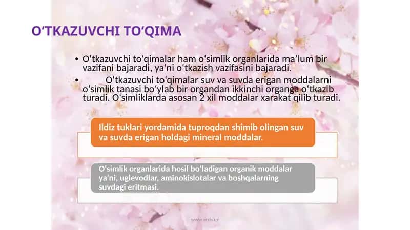O‘TKAZUVCHI TO‘QIMA 1